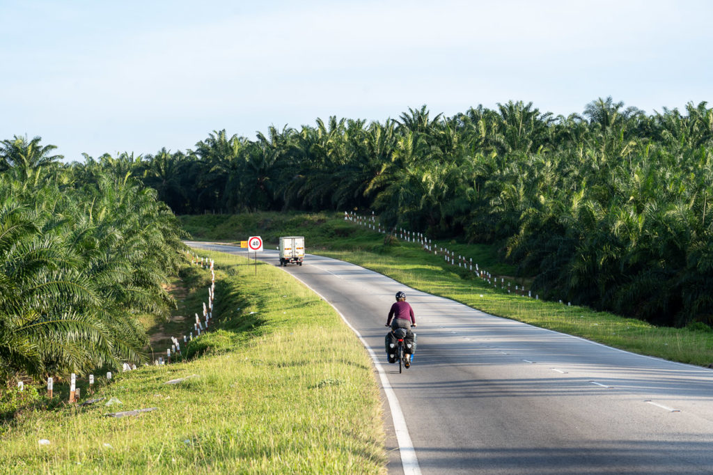 Johanna on Malaysia Federal Route 5 in Tanah Merah palm oil fields