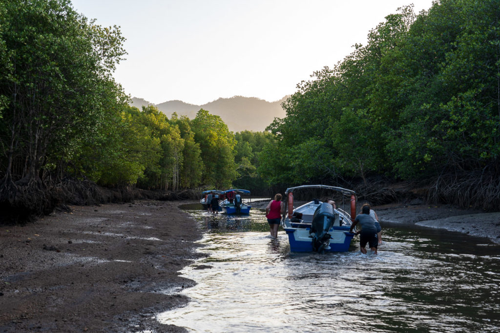 Mangrove cruise at low tide, Kilim Geoforest Park, Langkawi