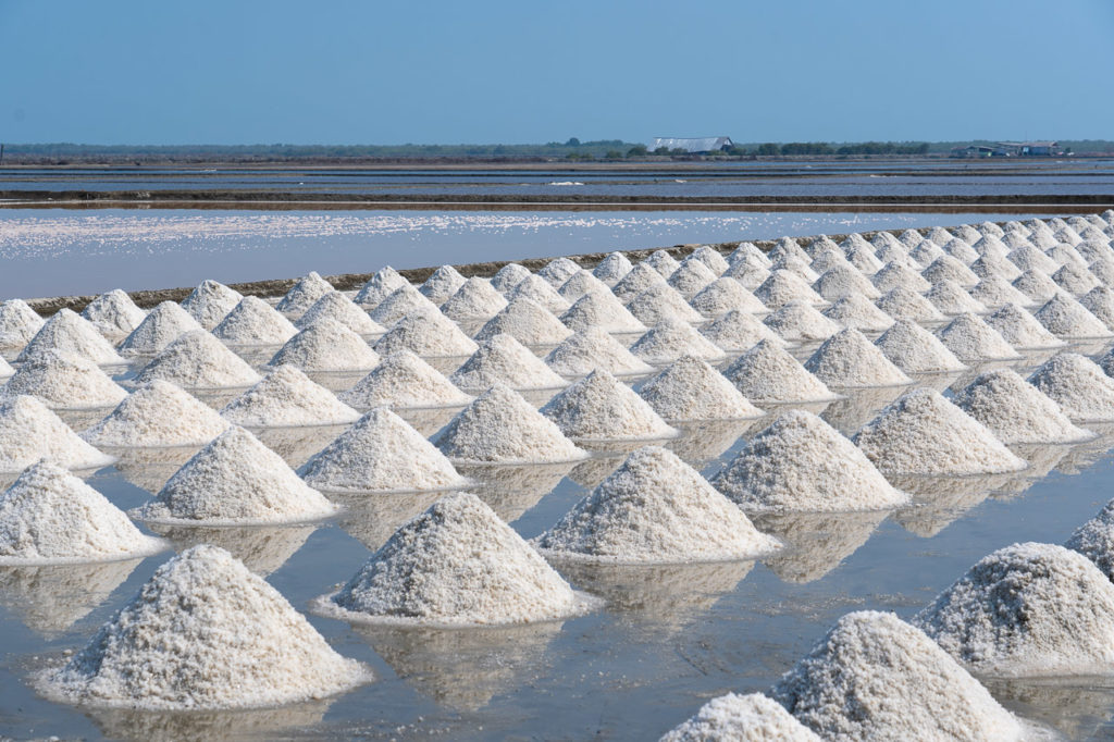 Salt pan in Laem Phak Bia