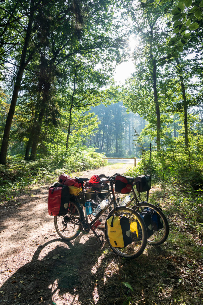 Bikes in a wood nearby Struvenhütten