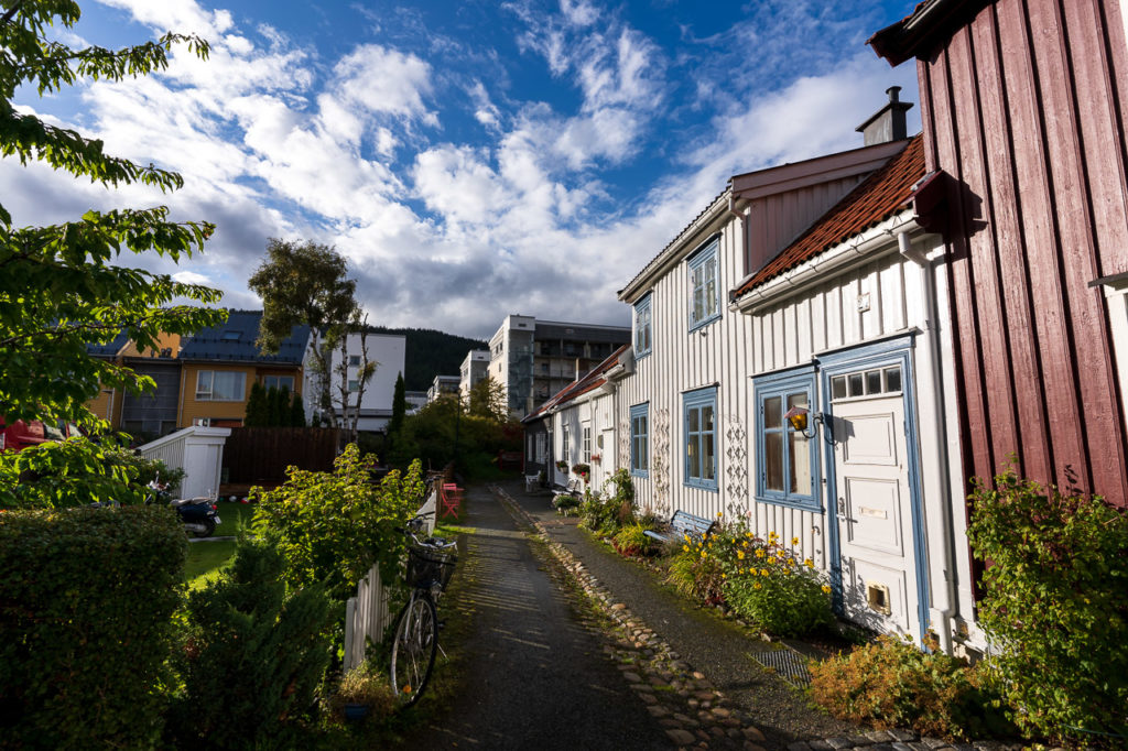 Ilsvikøra, Trondheim