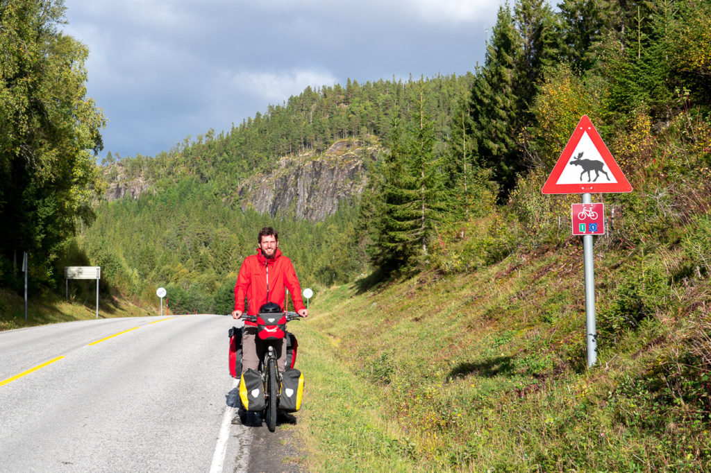 Armand, moose crossing road warning sign, Nasjonal sykkelrute nr. 1 signpost & EuroVelo 1 signpost on Fylkesvei 17 nearby Leirvik